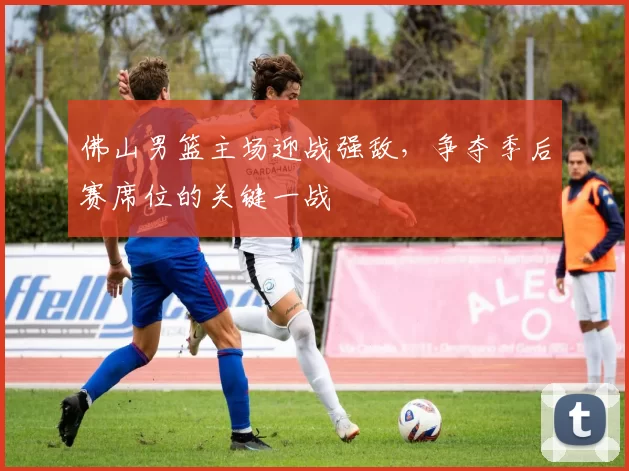 佛山男篮主场迎战强敌，争夺季后赛席位的关键一战
