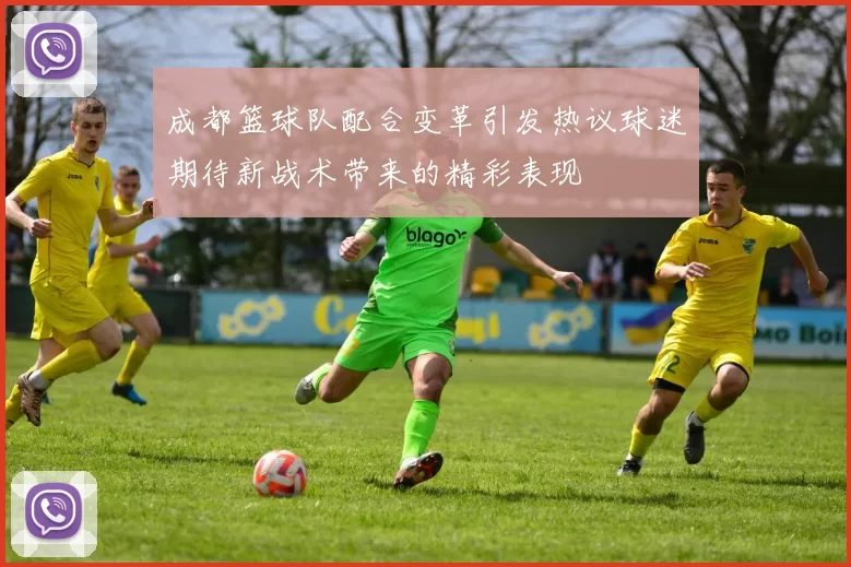 成都篮球队配合变革引发热议球迷期待新战术带来的精彩表现