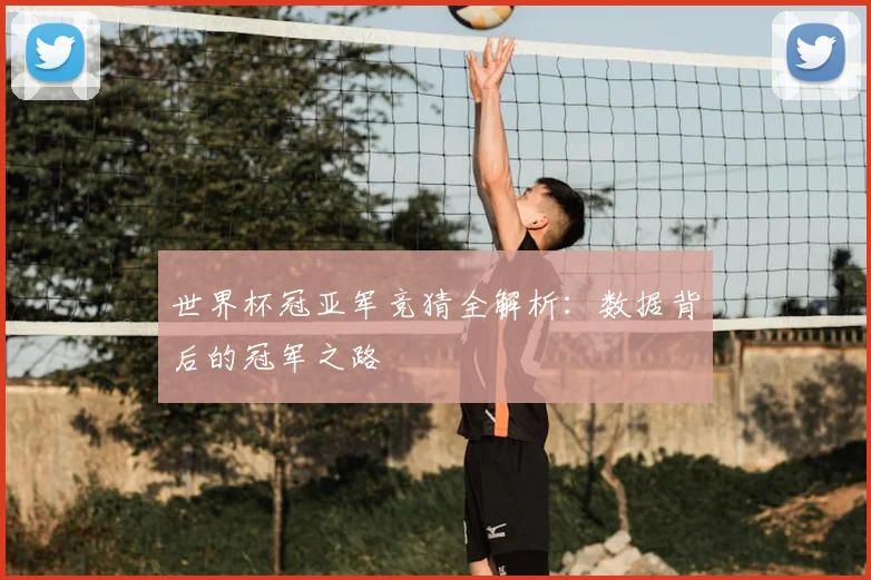 世界杯冠亚军竞猜全解析:数据背后的冠军之路
