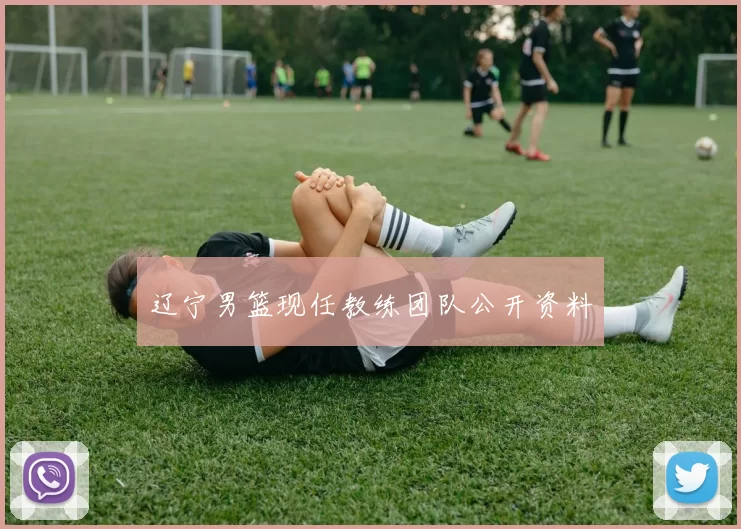 辽宁男篮现任教练团队公开资料