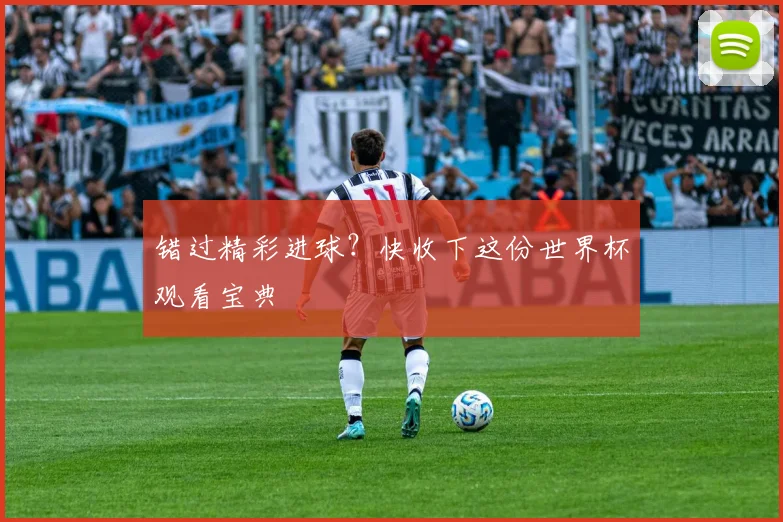 错过精彩进球？快收下这份世界杯观看宝典