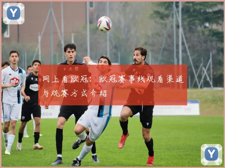 网上看欧冠:欧冠赛事线观看渠道与观赛方式介绍