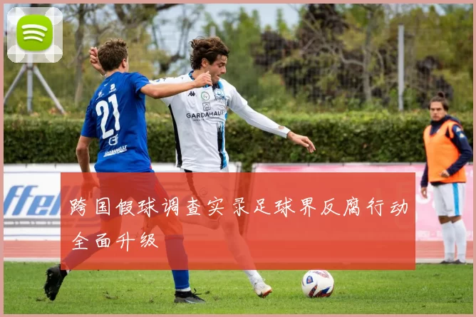 跨国假球调查实录足球界反腐行动全面升级