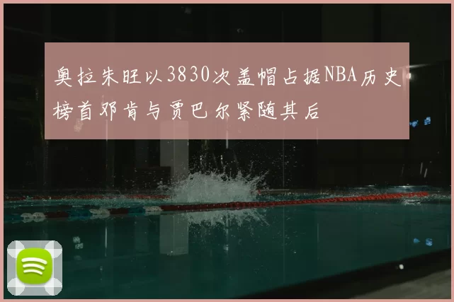奥拉朱旺以3830次盖帽占据NBA历史榜首邓肯与贾巴尔紧随其后