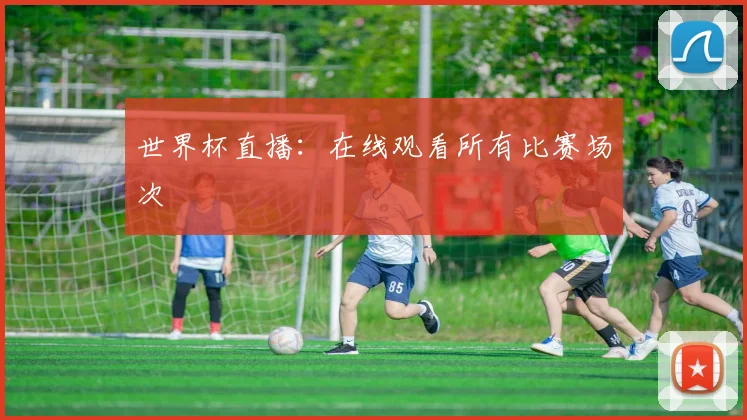 世界杯直播:在线观看所有比赛场次
