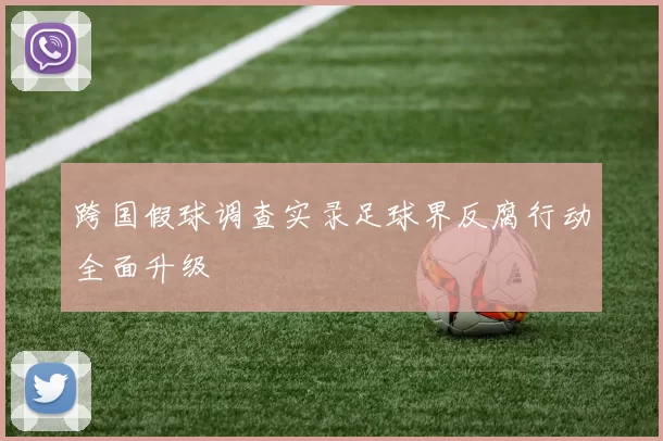 跨国假球调查实录足球界反腐行动全面升级