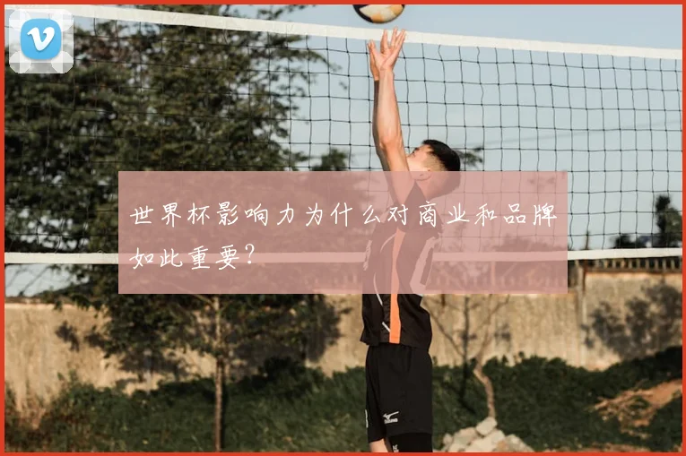 世界杯影响力为什么对商业和品牌如此重要？