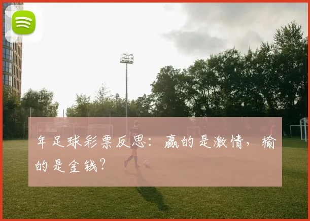 年足球彩票反思:赢的是激情,输的是金钱?