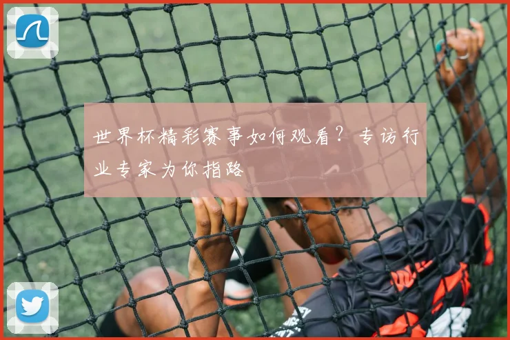 世界杯精彩赛事如何观看?专访行业专家为你指路