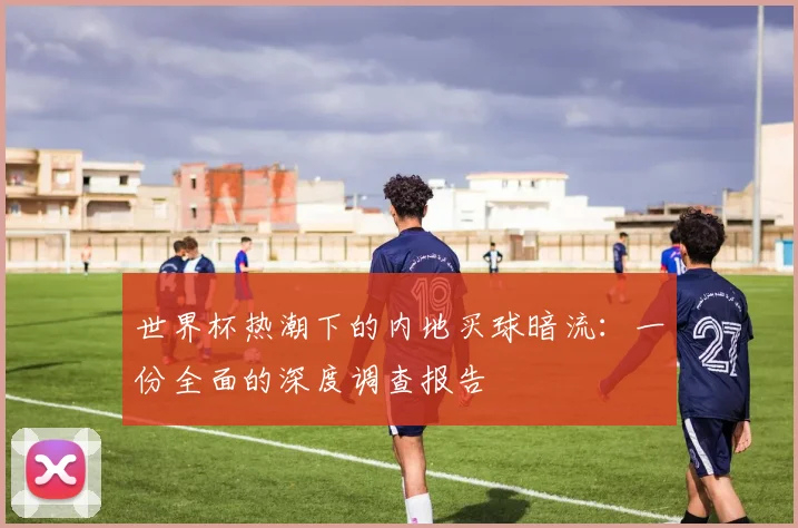 世界杯热潮下的内地买球暗流:一份全面的深度调查报告