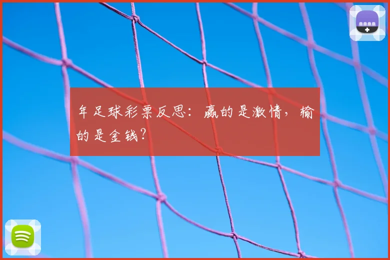 年足球彩票反思：赢的是激情，输的是金钱？