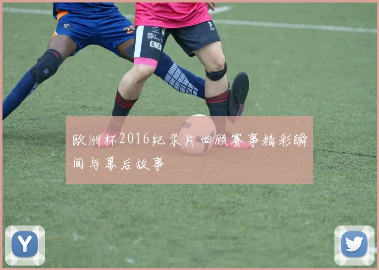 欧洲杯2016纪录片回顾赛事精彩瞬间与幕后故事