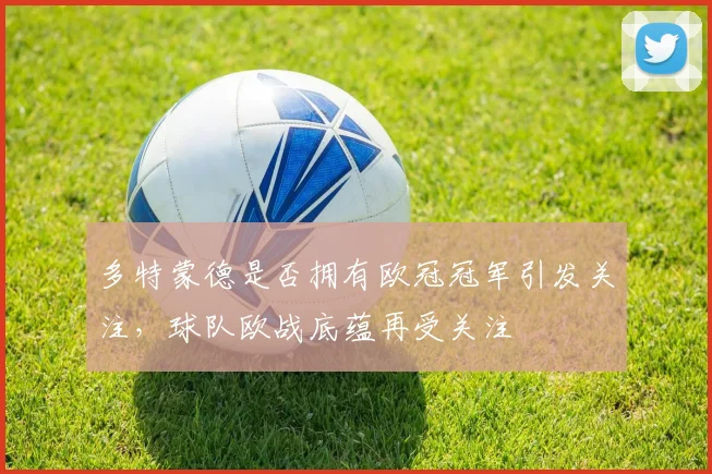 多特蒙德是否拥有欧冠冠军引发关注，球队欧战底蕴再受关注