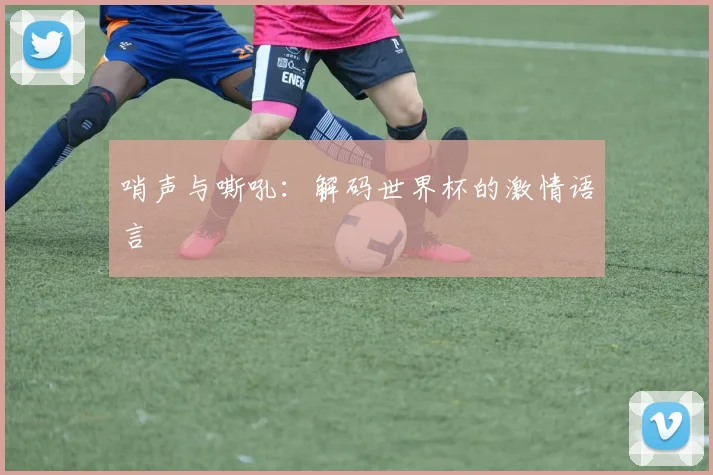 哨声与嘶吼:解码世界杯的激情语言