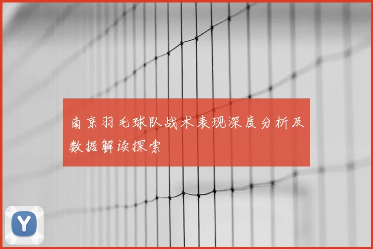 南京羽毛球队战术表现深度分析及数据解读探索